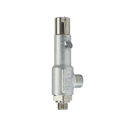 SFA 10 T 317 SAFETY VALVE