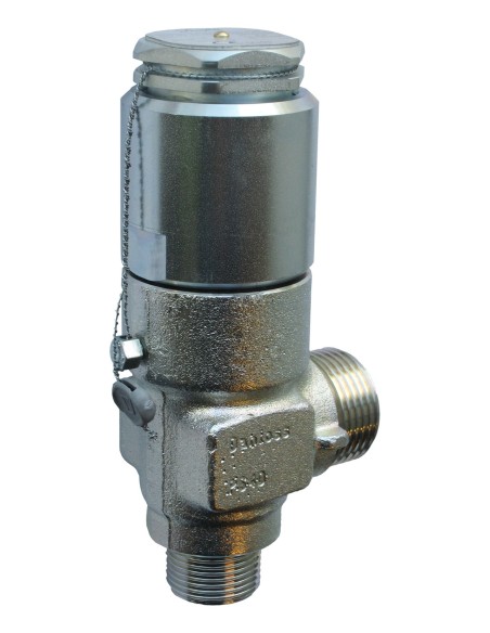 ZAWOR BEZPIECZENSTWA -  BSV 8 T 320 SAFETY VALVE 20 BAR