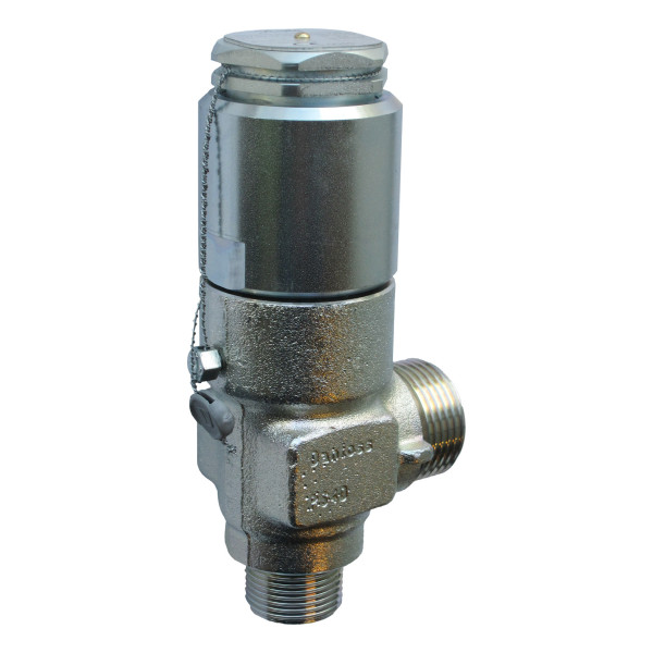 ZAWOR BEZPIECZENSTWA -  BSV 8 T 324 SAFETY VALVE 24 BAR