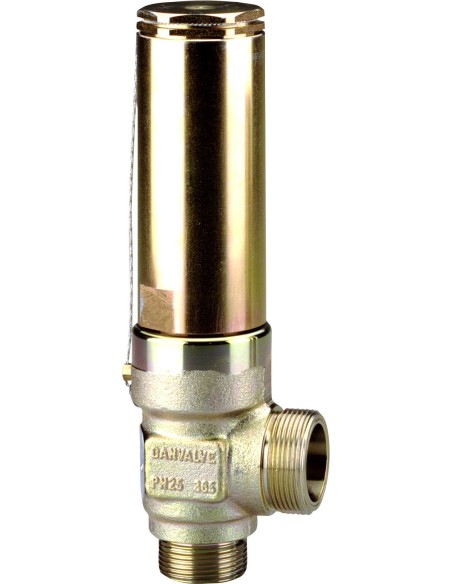 ZAWOR BEZPIECZENSTWA -  SFV 25 T 210 SAFETY VALVE 10 BAR