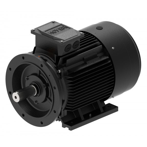 Silnik elektryczny , IEC 180 , 22kW IEC180L 4p 50Hz B35 IE3