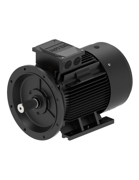 Silnik elektryczny , IEC 250 , IEC250M 4pol B3/B5 55kW IE3