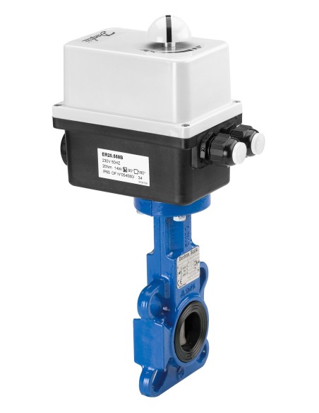 VFY-WA PN16 DN65 CI/SS/EPDM 230V 
