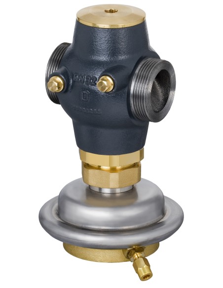 AVP-F DN 25,  0,2 BAR 