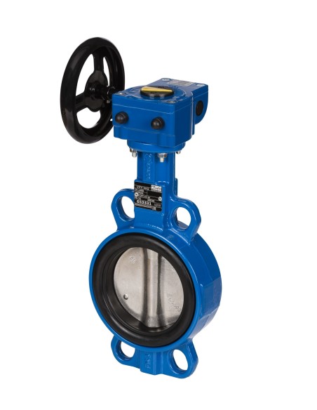 VFY-WG PN16 DN50 CI/SS/EPDM 