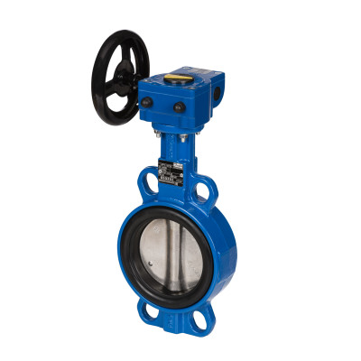 VFY-WG PN16 DN80 CI/SS/EPDM 