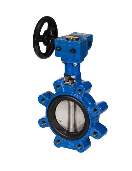 VFY-LG PN16 DN50 CI/SS/EPDM 