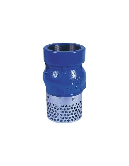 Kosz ssawny gwintowany Typ 102  DN 6"