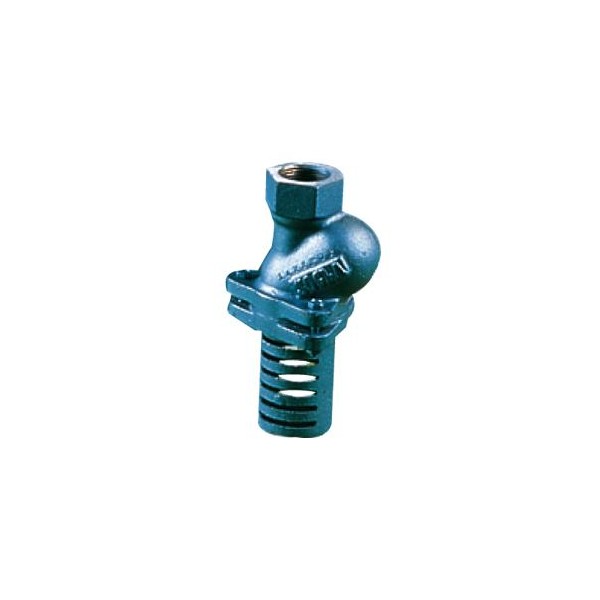Kosz ssawny gwintowanyTyp30 DN 1"