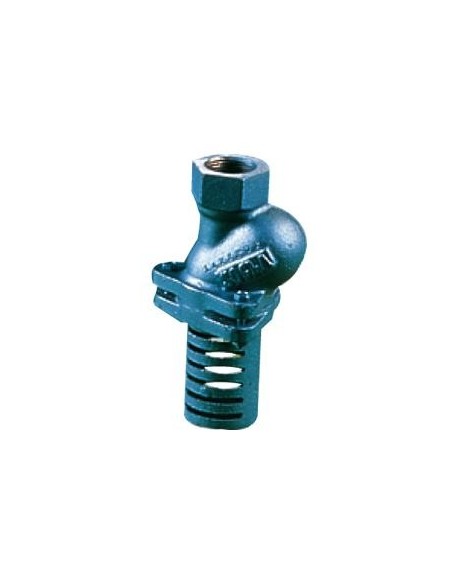 Kosz ssawny gwintowanyTyp30 DN 1 1/4"