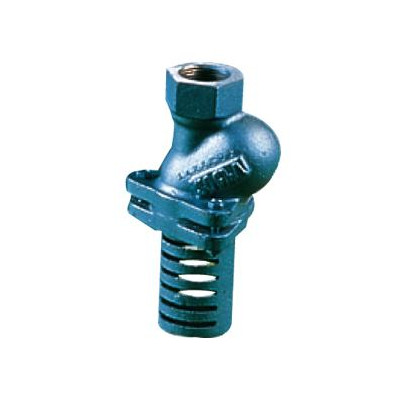 Kosz ssawny gwintowanyTyp30 DN 2 1/2"
