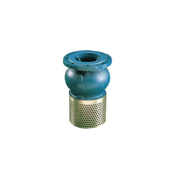 Kosz ssawny kołnierzowy Typ 302  DN 250