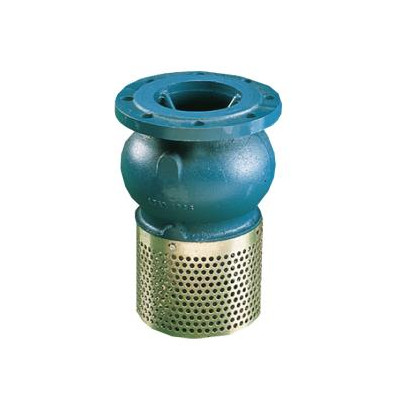 Kosz ssawny kołnierzowy Typ 302  DN 150