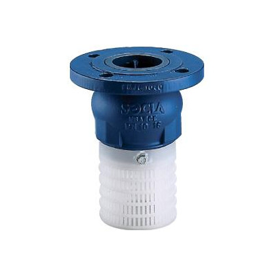Kosz ssawny kołnierzowy Typ 302PV  DN 50