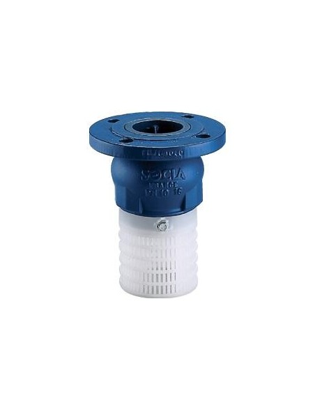 Kosz ssawny kołnierzowy Typ 302PV  DN 80