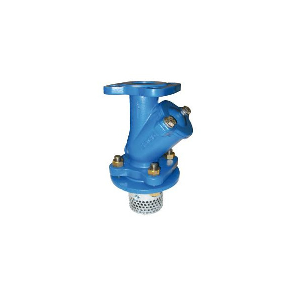 Kosz ssawny kołnierzowy Typ318 DN 125
