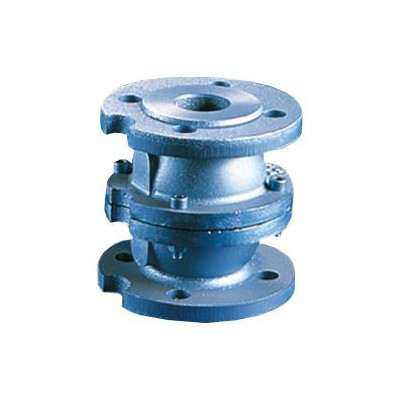 Zawór zwrotny kołnierzowy Typ 407V  DN 80